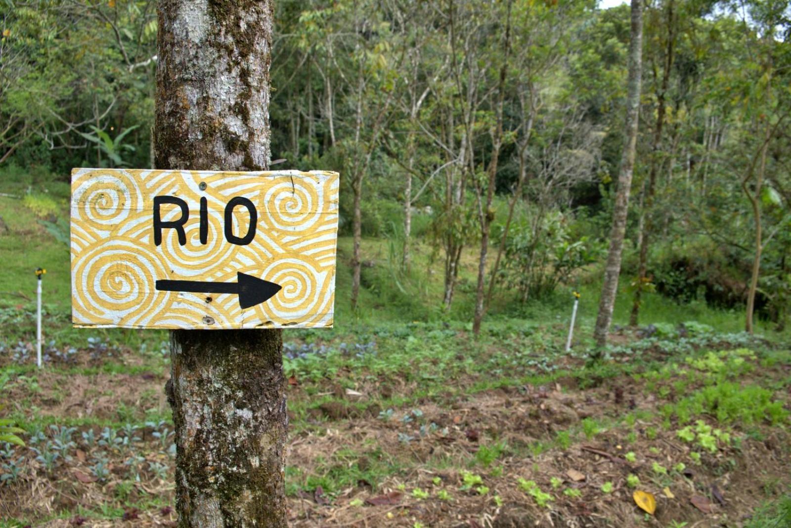 Ritmo Del Rio Villa San Rafael  Eksteriør bilde