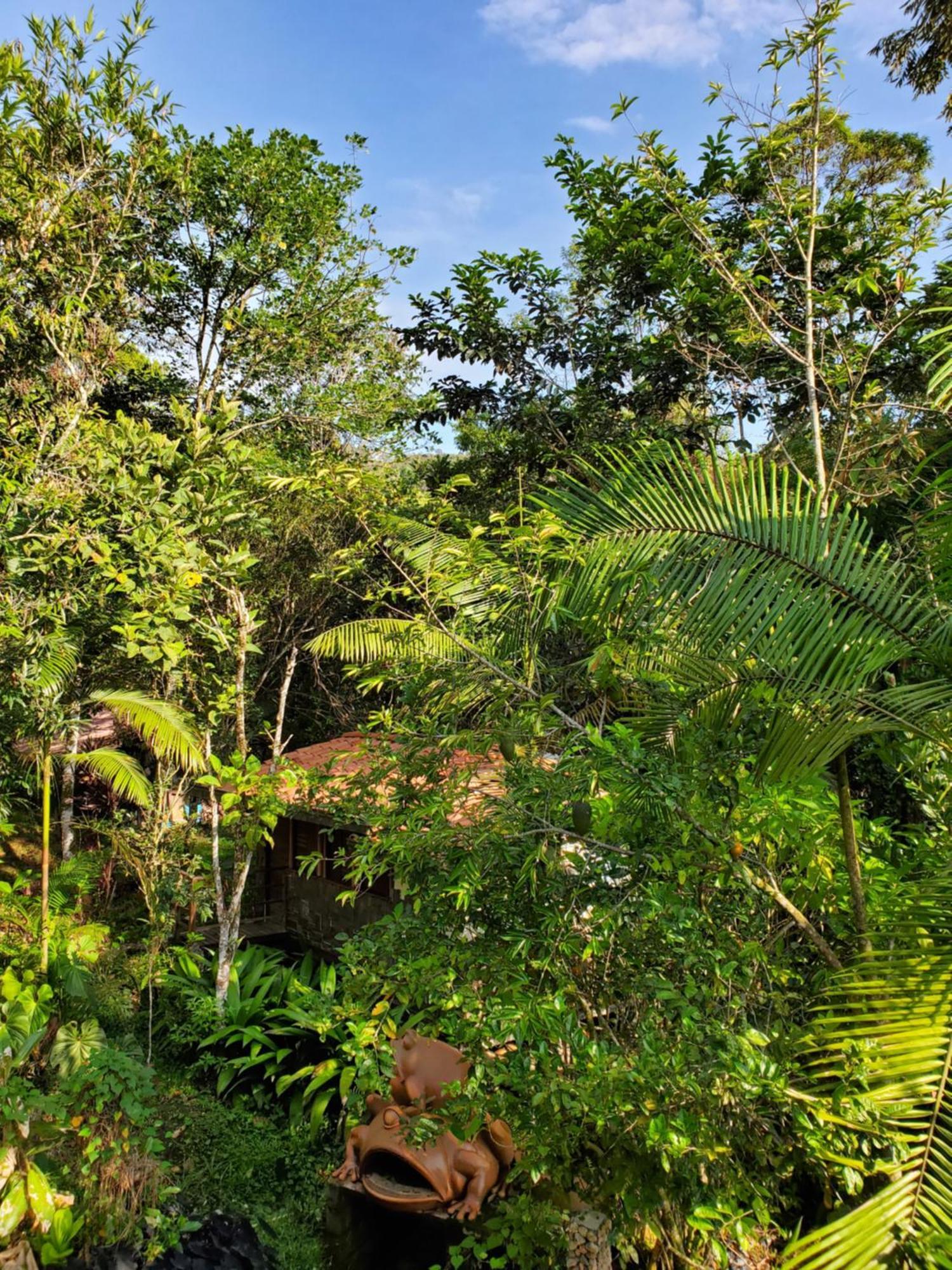 Ritmo Del Rio Villa San Rafael  Eksteriør bilde