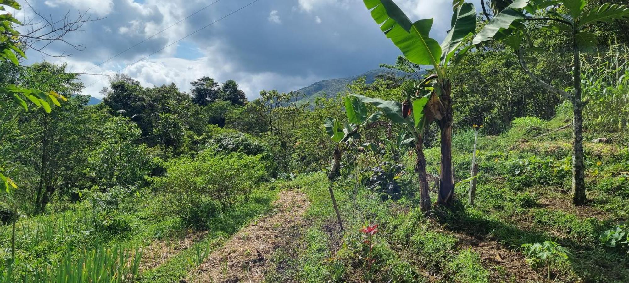 Ritmo Del Rio Villa San Rafael  Eksteriør bilde